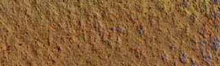 Pastela sucha w kredce Caran dAche - 047 Bistre